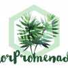 Lorena