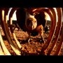 Resumen fotográfico Biodiversidad en Europa