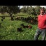 GANADERÍA ECOLÓGICA