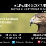 Ecoturismo en Sierra Morena